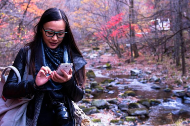 一级片黄应用主界面展示